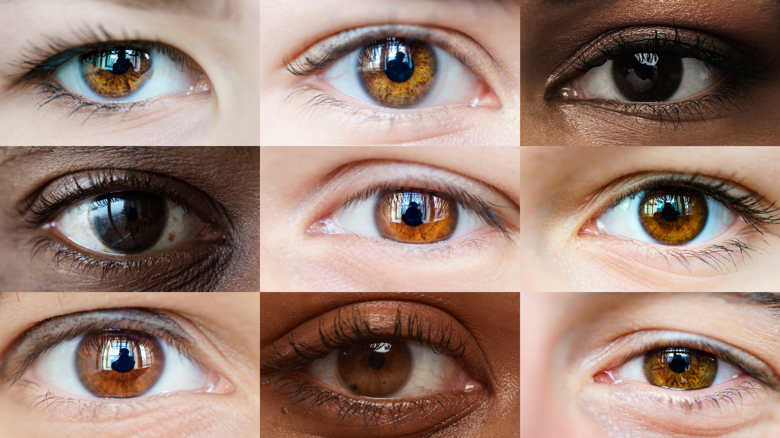 Different Shades Of Brown Eyes